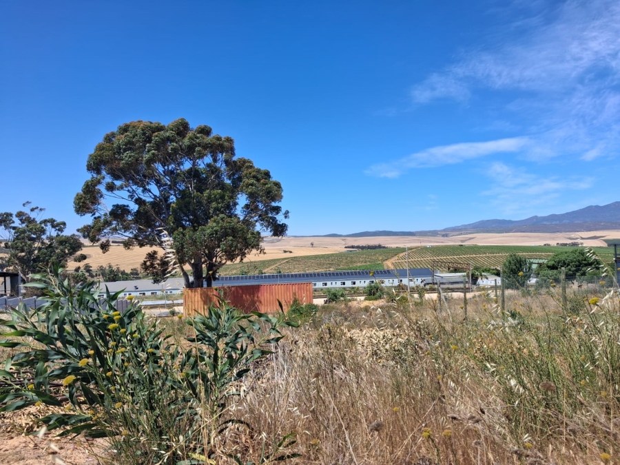 0 Bedroom Property for Sale in Bot River Avenues Western Cape